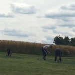 whatsapp image 2017-07-16 at 17.01.251